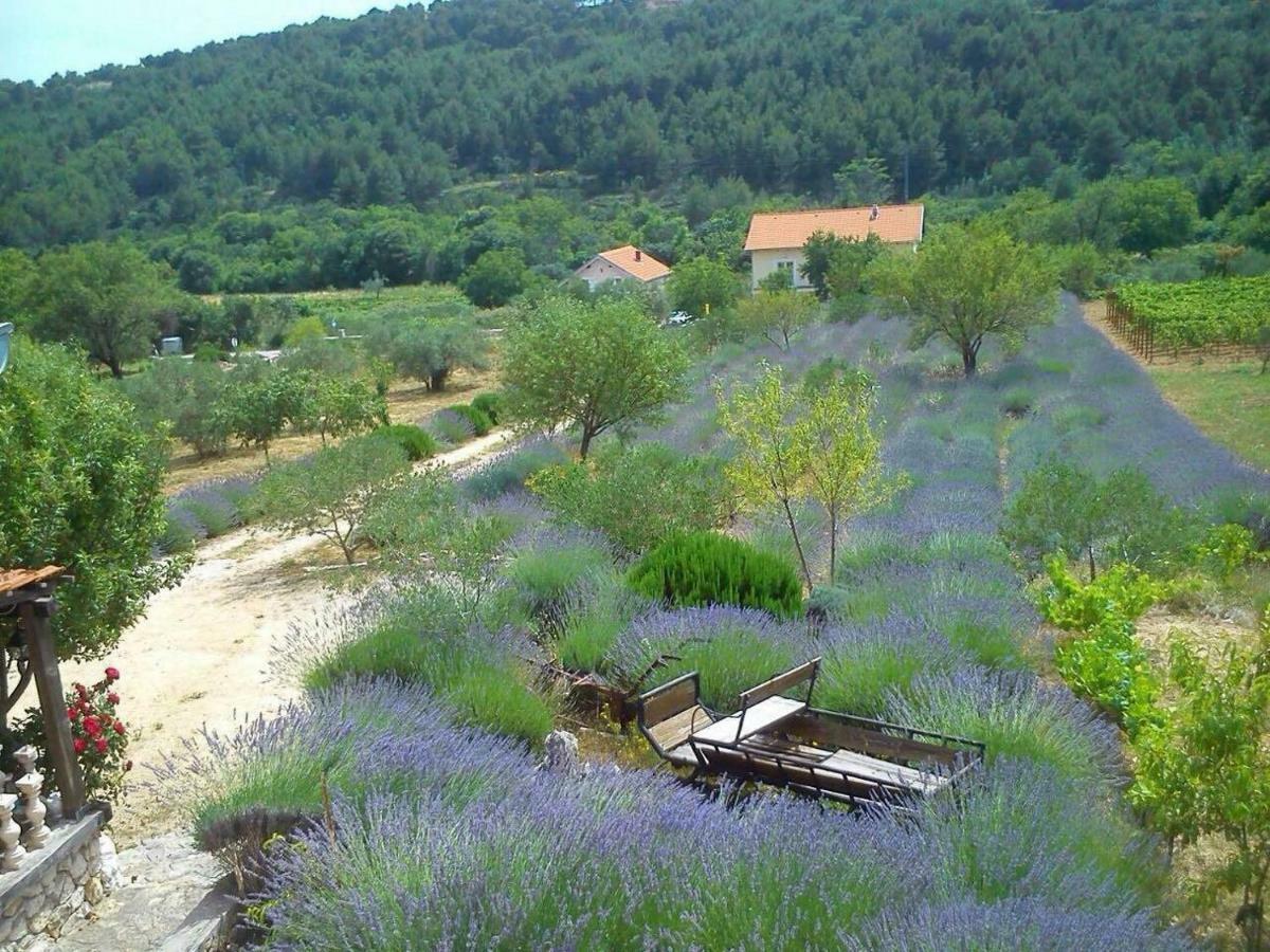 Apartmani Goga Skradin Exterior photo